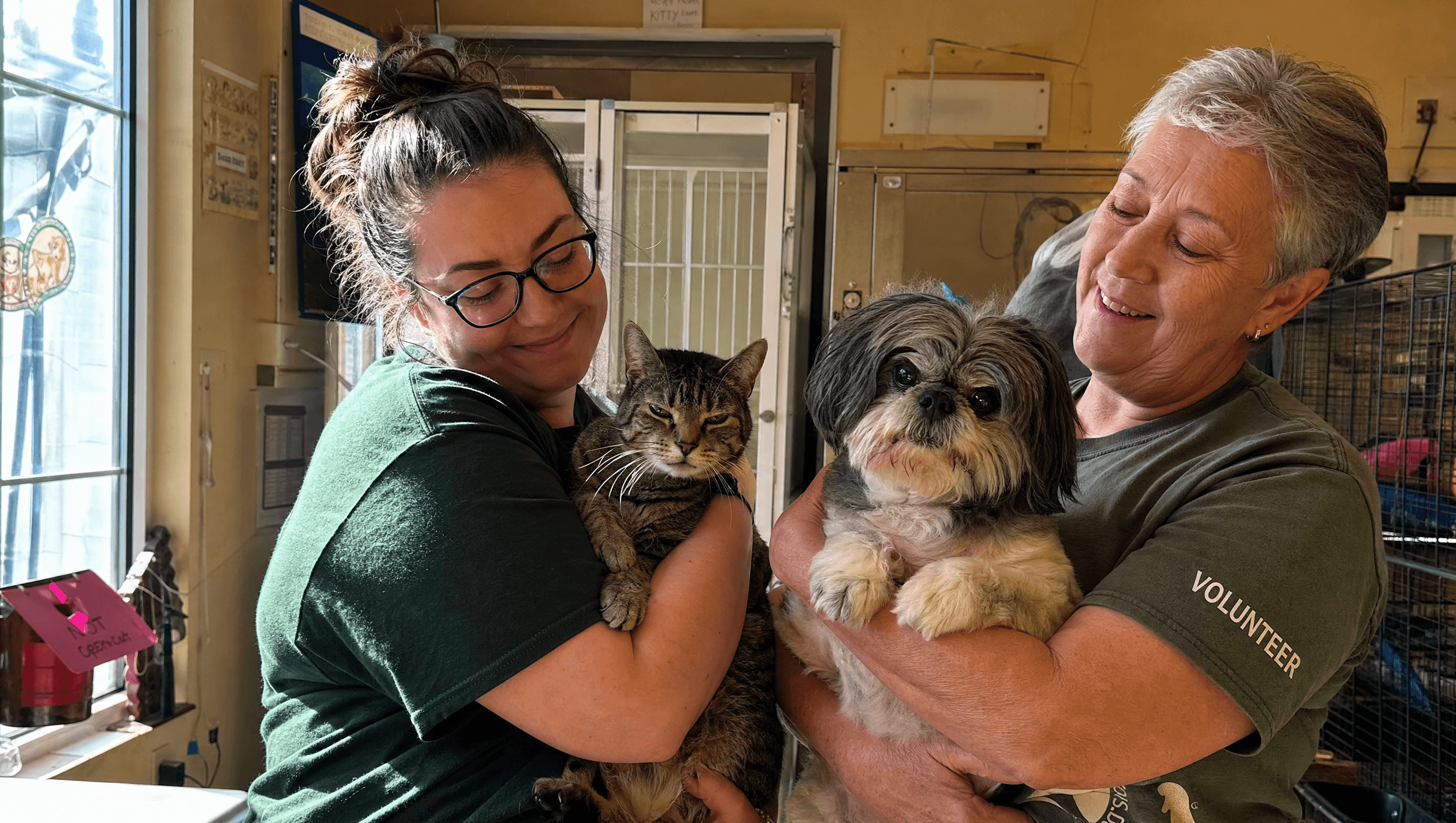 Whiskers & Wags volunteers in a sunlit room with a senior tabby cat and a senior dog